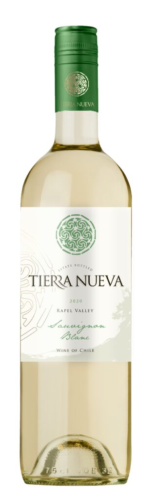 ティエラ・ヌエバ　トラディション　ソーヴィニヨンブラン